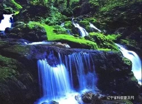 美人鱼的聚会